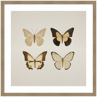 Framed art showing four vintage style butterflies in neutral tones by The Creative Bunch Studio