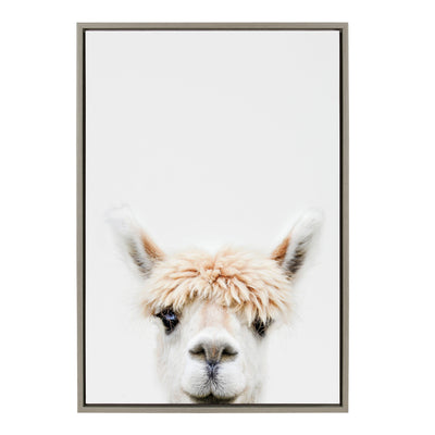 Sylvie Alpaca Bangs Framed Canvas by Amy Peterson Art Studio