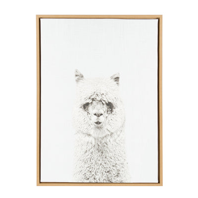 Sylvie Hairy Alpaca Framed Canvas by Simon Te of Tai Prints