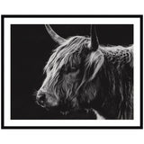 Black and white close-up profile of a Scottish Highland cow with long shaggy fur and curved horns against a dark background in a black frame.