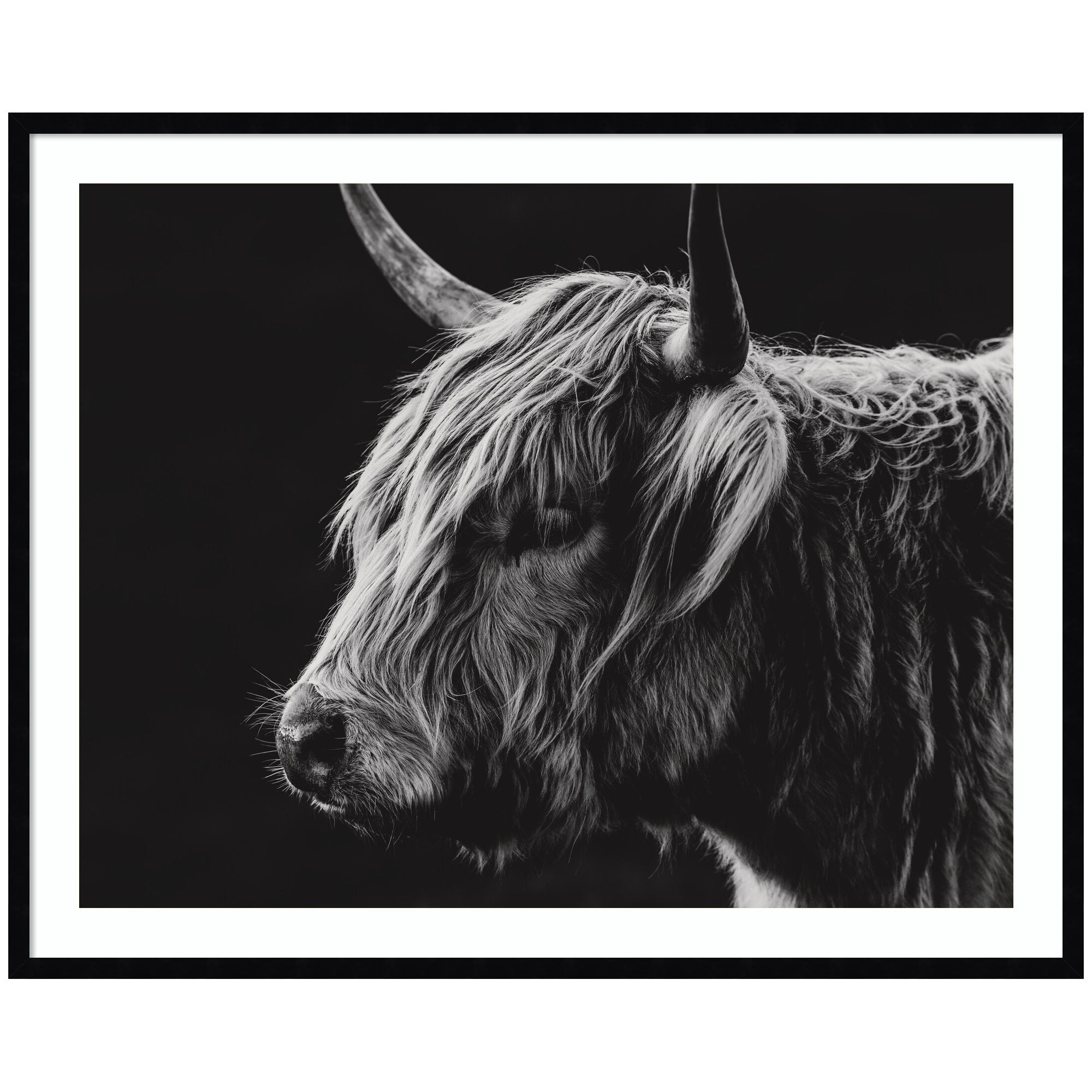 Scottish Highland by Crystal Lynn Collins Framed Wall Art Print