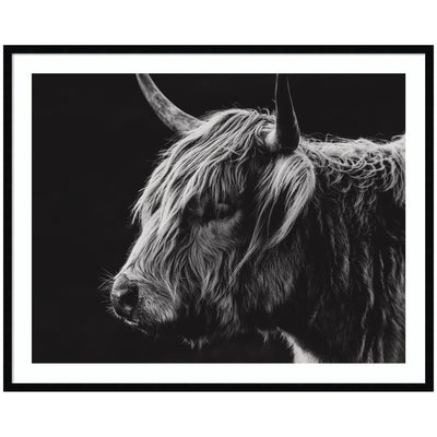 Scottish Highland by Crystal Lynn Collins Framed Wall Art Print