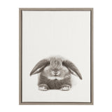 Framed canvas print of a gray fluffy baby rabbit with floppy ears centered on a white background.