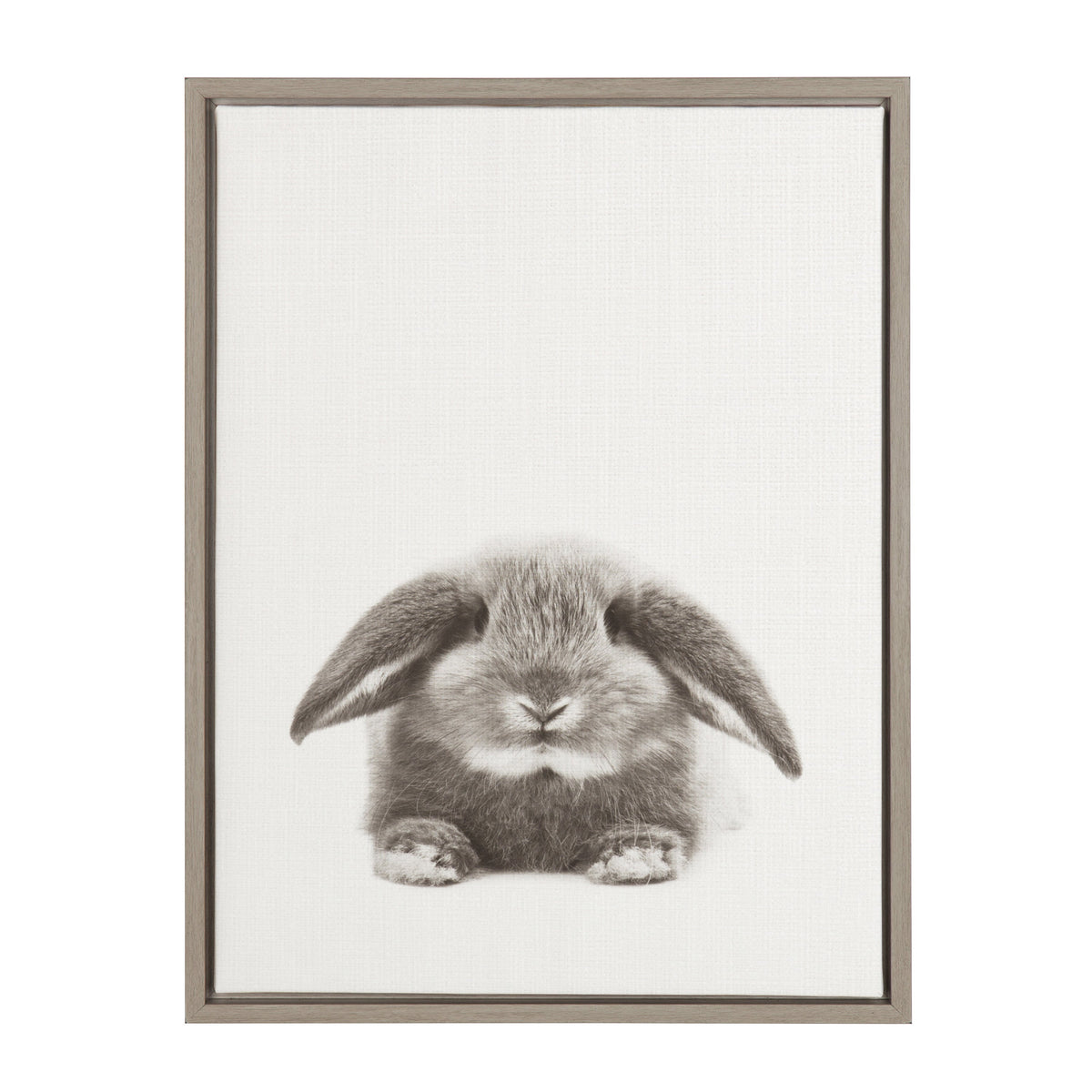 Framed canvas print of a gray fluffy baby rabbit with floppy ears centered on a white background.