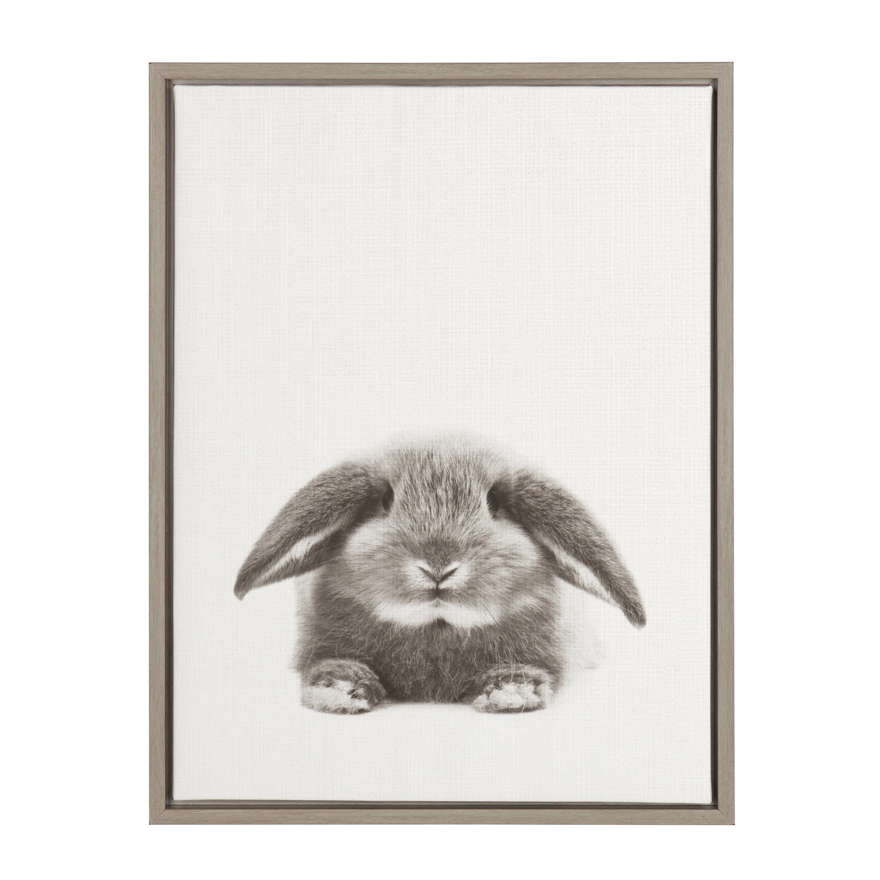 Sylvie Rabbit Framed Canvas by Simon Te of Tai Prints