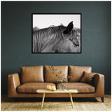 Black and white framed print of a close-up horse's head with detailed mane and closed eye, hanging on a dark gray wall above a tan leather sofa.