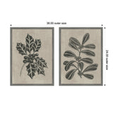 Two framed canvas prints with botanical illustrations in grayscale; one shows a holly branch with spiky leaves and berries, the other a smooth-leafed branch with clusters of berries, each measuring 24x19 inches