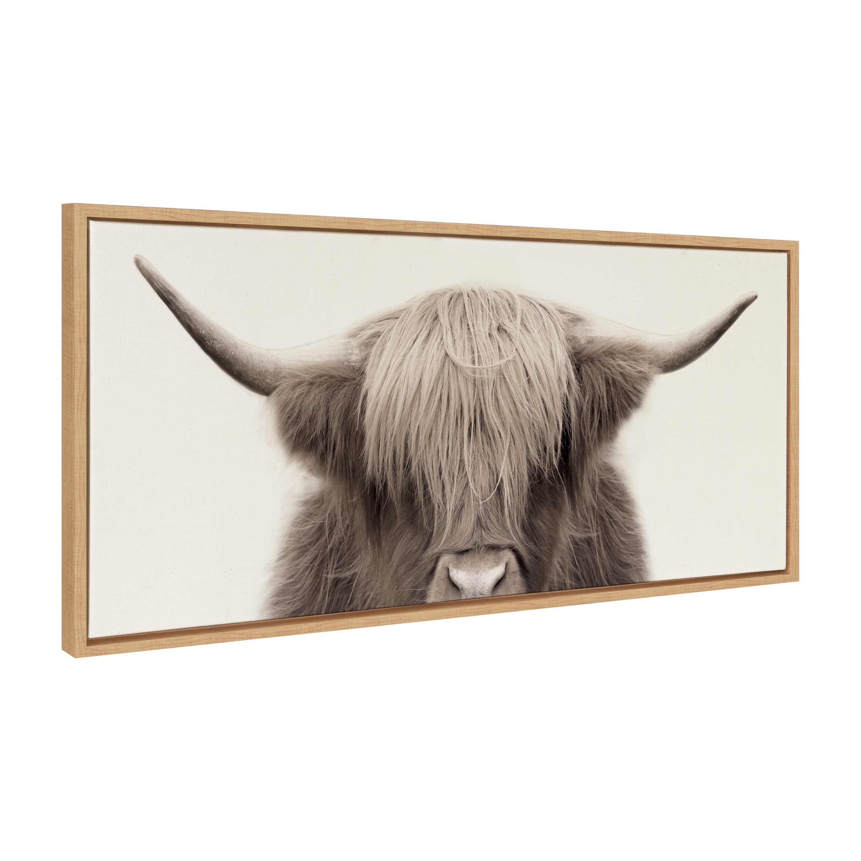 Sylvie Hey Dude Highland Cow Color Framed Canvas by The Creative Bunch