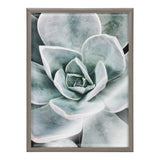 Blake Botanical Succulent Plants 3 Framed Printed Glass by The Creative by kateandlaurel - product image 2 for Resin Society