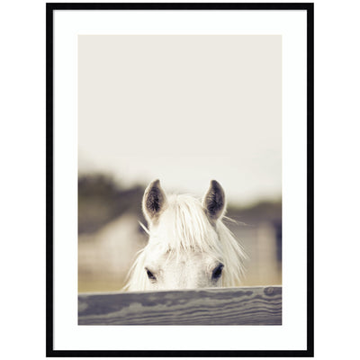 Equine Crop by Robert Cadloff Framed Wall Art Print