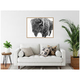 Black and white framed canvas print of a bison's side profile against a white wall above a beige sofa with patterned pillows, flanked by green plants in natural wicker and black metal stands.
