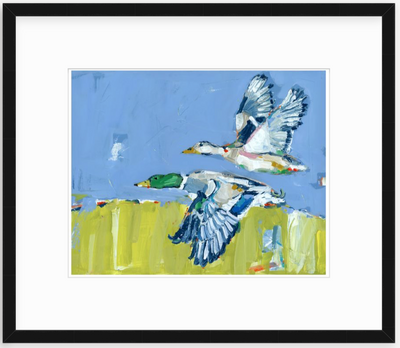 Duck Krausing Mallard Ducks Fine Art Print