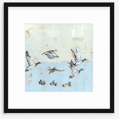 Taking Off Mallard Ducks Fine Art Print