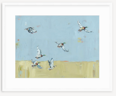 Here We Go Again Ducks Fine Art Print