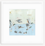 Taking Off Mallard Ducks Fine Art Print