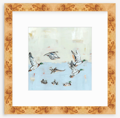 Taking Off Mallard Ducks Fine Art Print