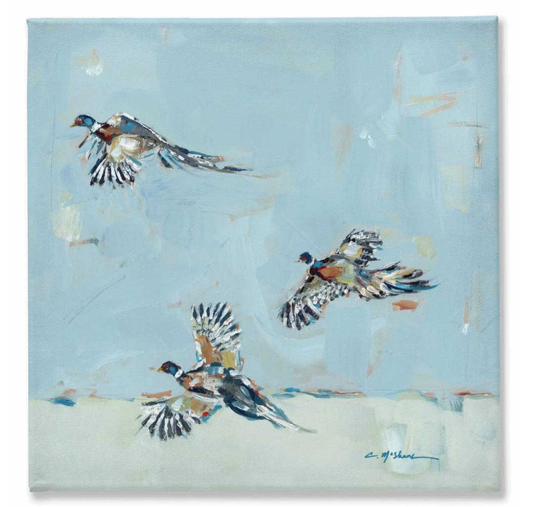 "Pheasantly Surprised" on canvas by Chelsea McShane Art - main product image for Resin Society