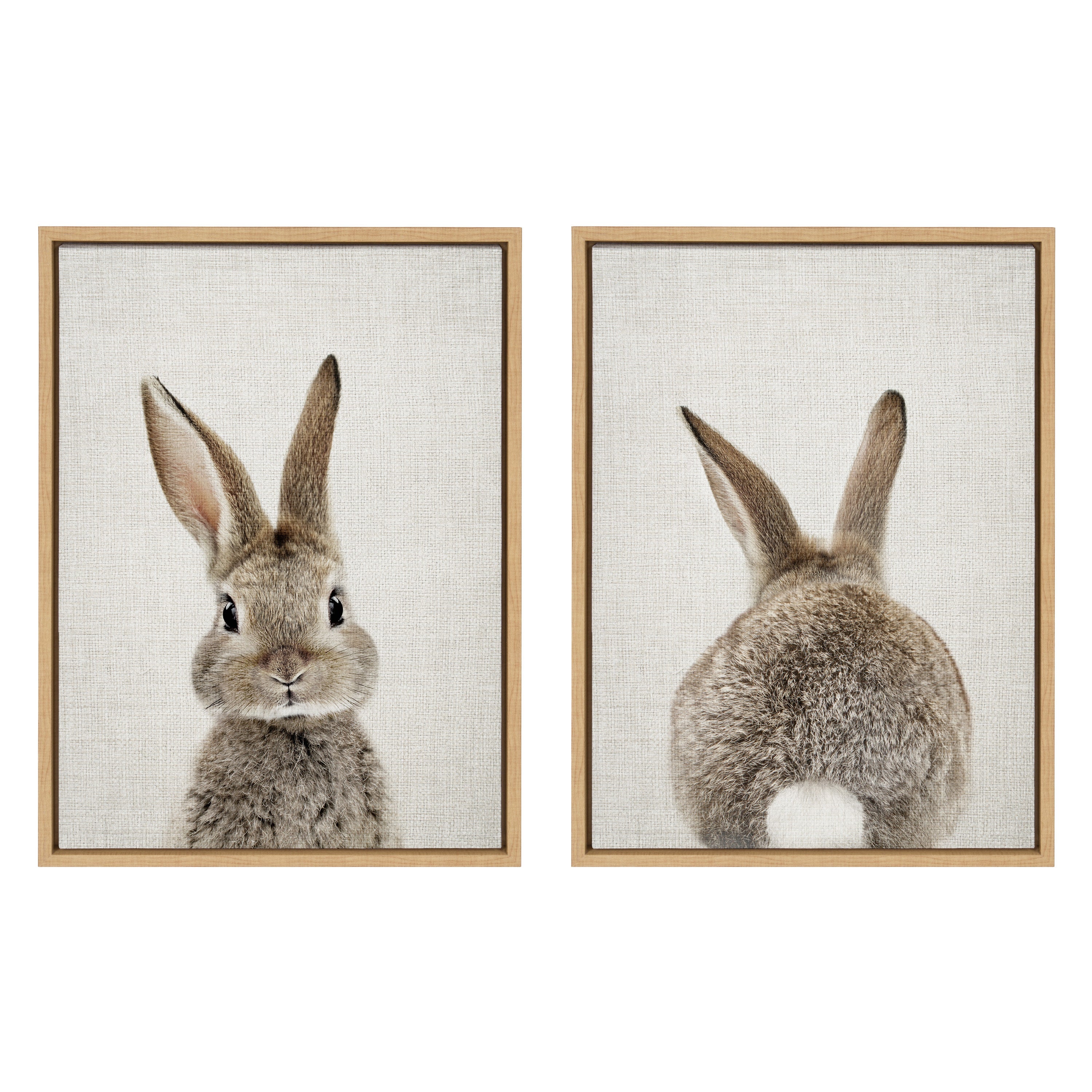 Sylvie Bunny Portrait and Bunny Tail Framed Canvas Art Set by Amy Peterson Art Studio