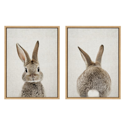 Sylvie Bunny Portrait and Bunny Tail Framed Canvas Art Set by Amy Peterson Art Studio