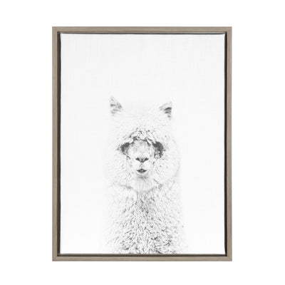 Sylvie Hairy Alpaca Framed Canvas by Simon Te of Tai Prints