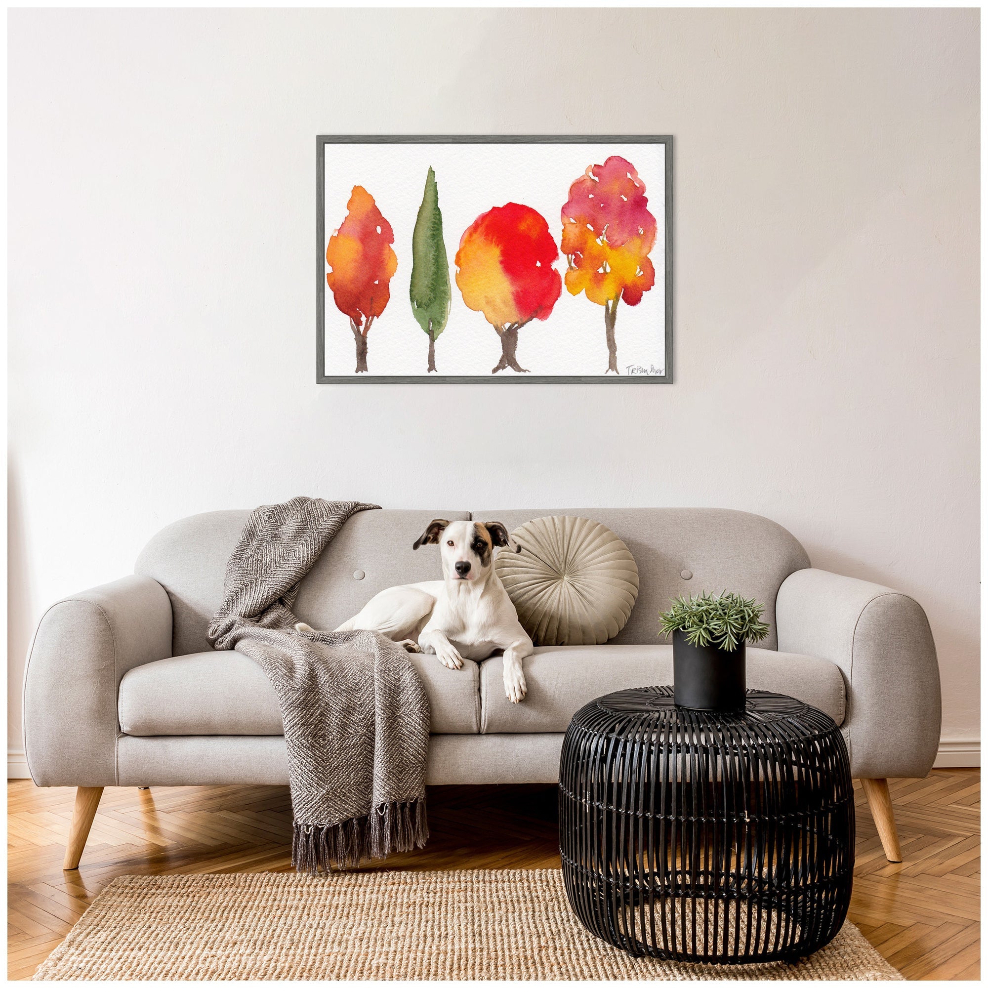 Sylvie Watercolor 4 Fall Trees Framed Canvas by Patricia Shaw