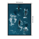 Aerial view of five humpback whales swimming in deep blue ocean water with white foam trails around them, framed in a black frame with outer dimensions shown.