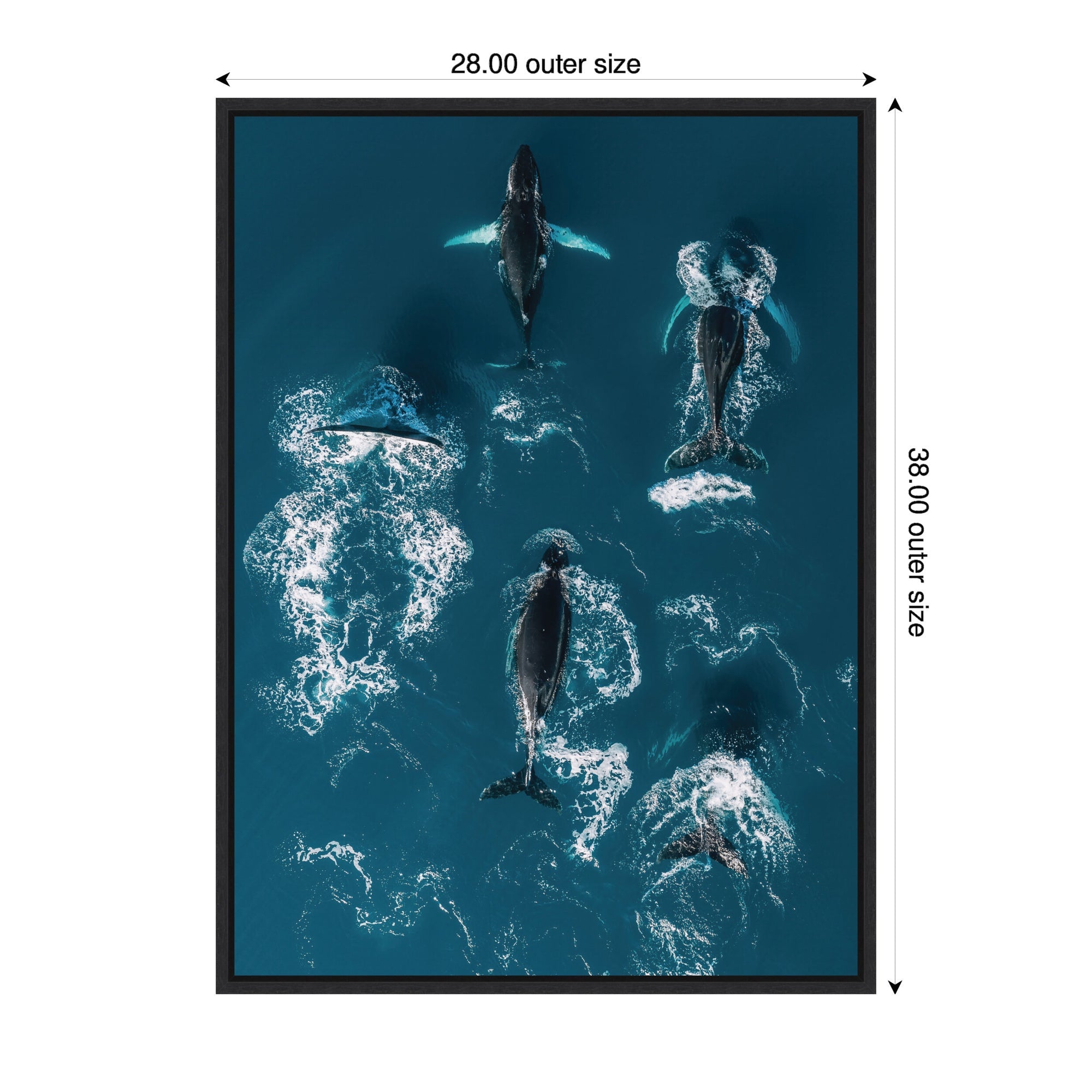 Sylvie School of Humpback Whales in the Blue Ocean Framed Canvas by Michael Schauer