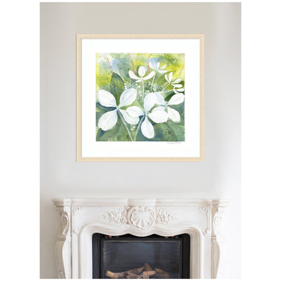 Framed Art White Phantom Hydrangea in Greens by Patricia Shaw