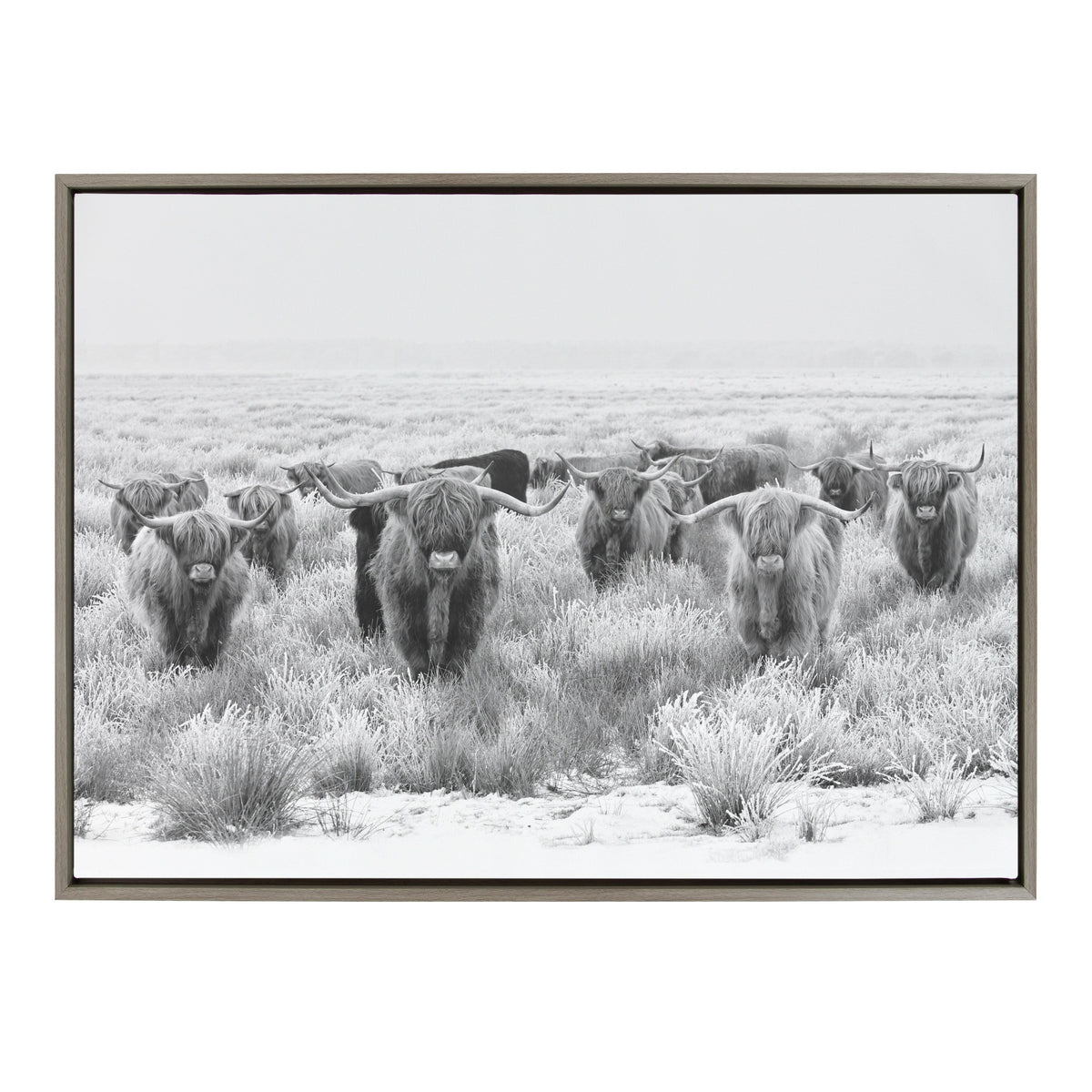 Sylvie Herd of Highland Cows Black and White Framed Canvas by The by kateandlaurel - product image 3 for Resin Society