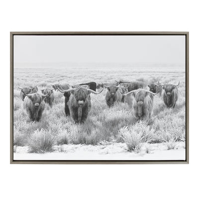 Sylvie Herd of Highland Cows Black and White Framed Canvas by The by kateandlaurel - product image 3 for Resin Society