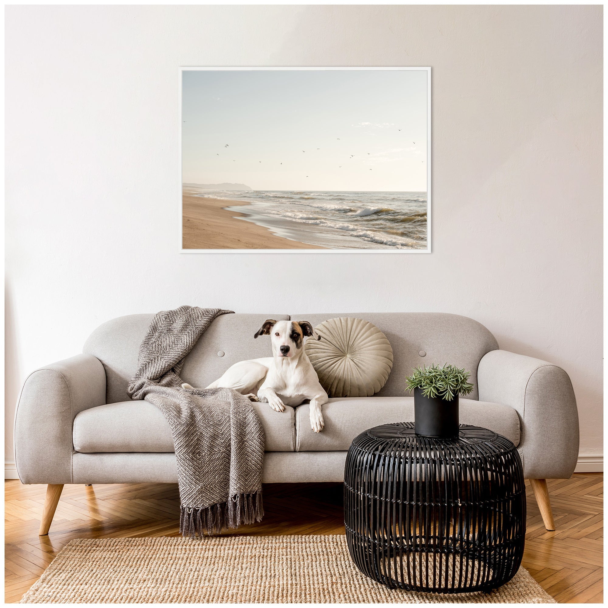 Sylvie Coastal Flight Framed Canvas by Crystal Lynn Collins