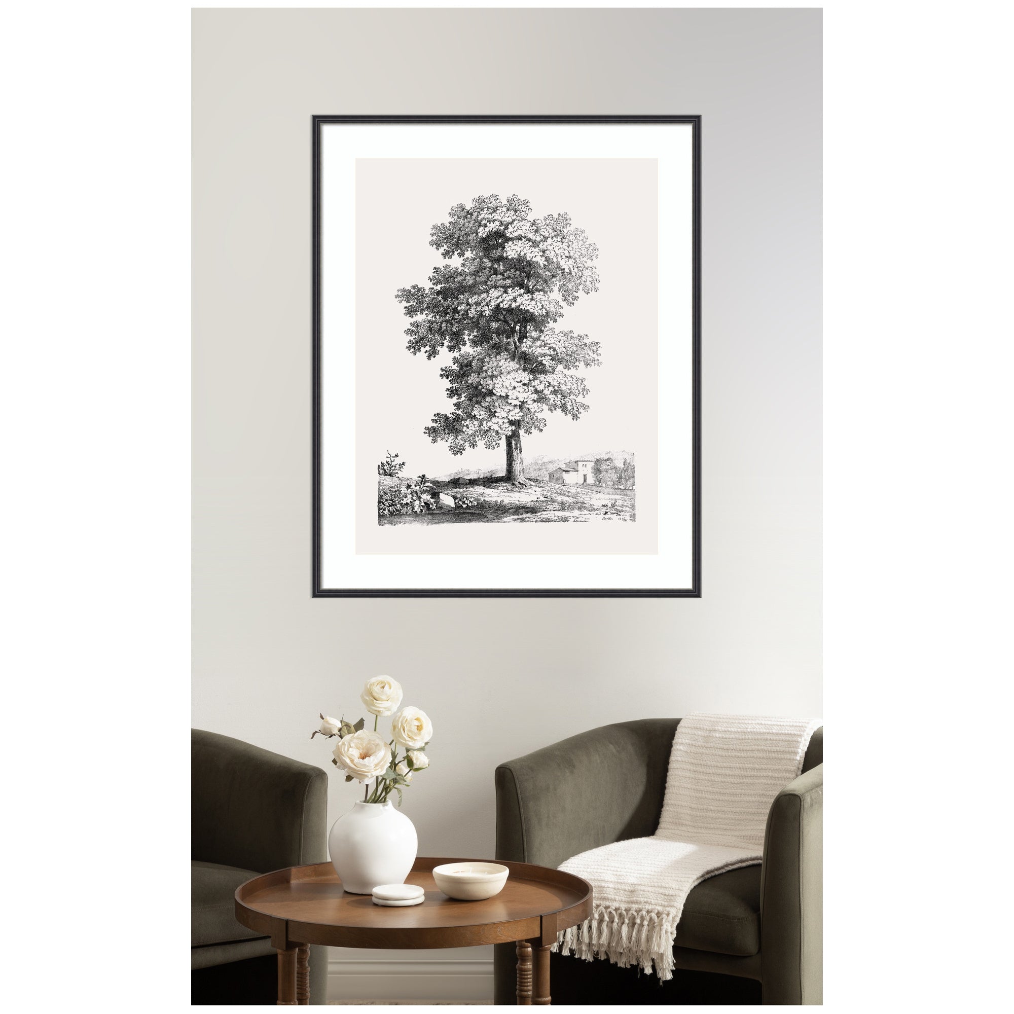 Framed Art Jean Victor Bertin Study of a Tree 1816