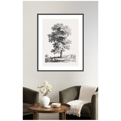 Framed Art Jean Victor Bertin Study of a Tree 1816