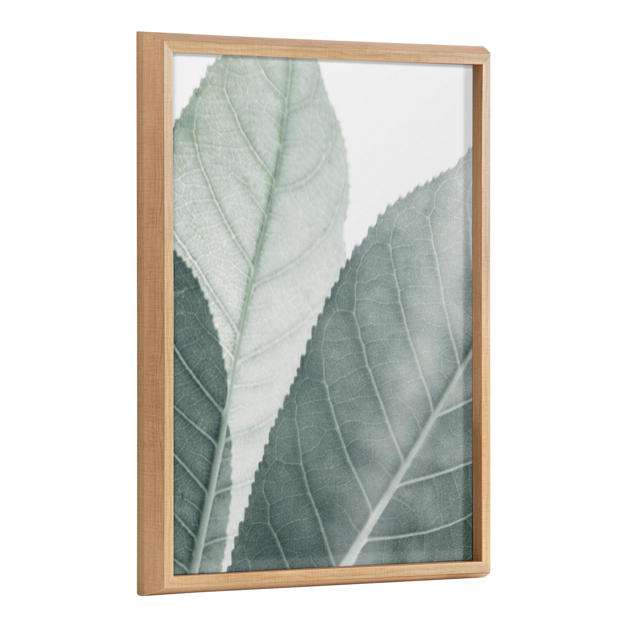 Blake Modern Green Leaf Botanical Framed Printed Glass by The Creative by kateandlaurel - framed botanical art piece with green leaves on glass