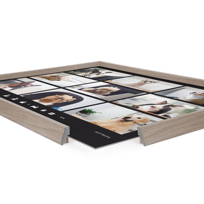 Blake Video Chat Dogs Framed Printed Glass by The Creative Bunch Studio by kateandlaurel - product image 3 for Resin Society
