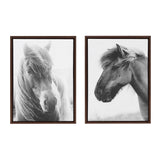 Sylvie Benevolence and Indomitable Framed Canvas Set by Alicia Abla by kateandlaurel - main product image for Resin Society