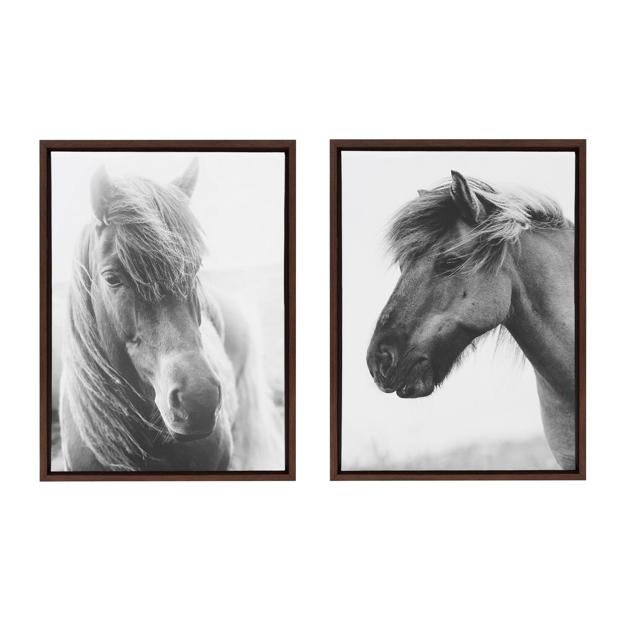 Sylvie Benevolence and Indomitable Framed Canvas Set by Alicia Abla by kateandlaurel - main product image for Resin Society