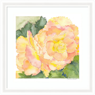 Framed art piece featuring abstract begonia flowers in orange, pink, and soft yellow with lush green leaves, in a white narrow frame