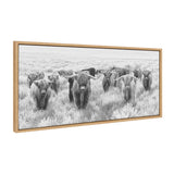Sylvie Herd of Highland Cows Black and White Framed Canvas by The