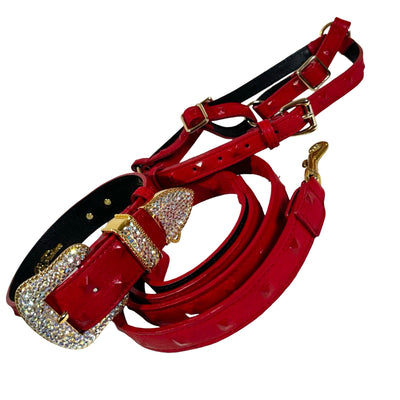 Red studded embossed leather pet collar, leash, and harness set with gold frosted crystal hardware