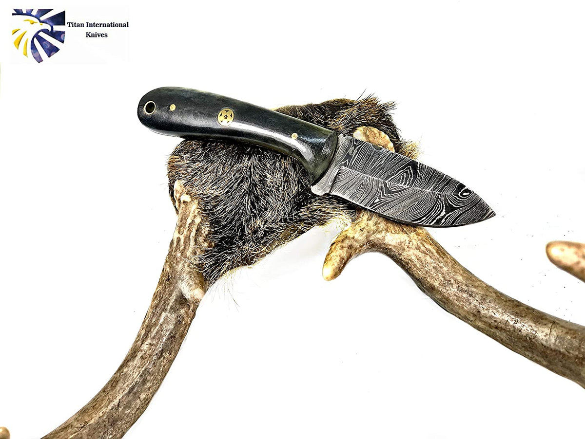 Damascus Steel EDC Titan Sparrow TD-603 (1) knife with dyed camel bone and walnut wood handle