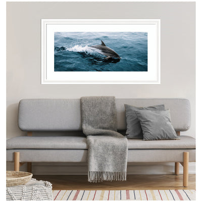 Framed Art Dolphin Skipping along in the Ocean Panel by Michael Schauer