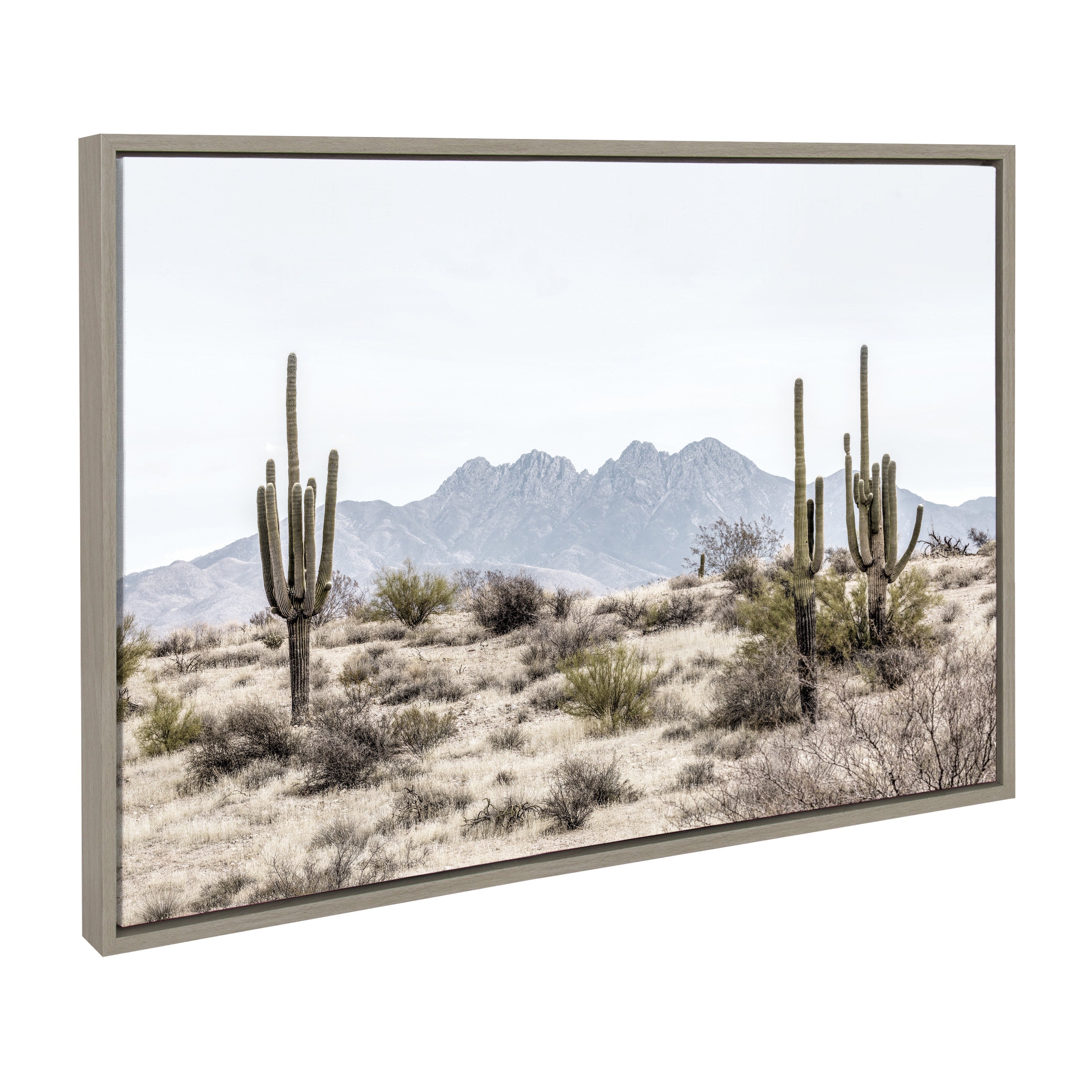 Sylvie Tall Saguaro Cacti Desert Mountain Framed Canvas by kateandlaurel - product image 15 for Resin Society