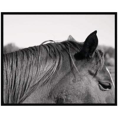 Auburn by Alicia Bock Framed Wall Art Print