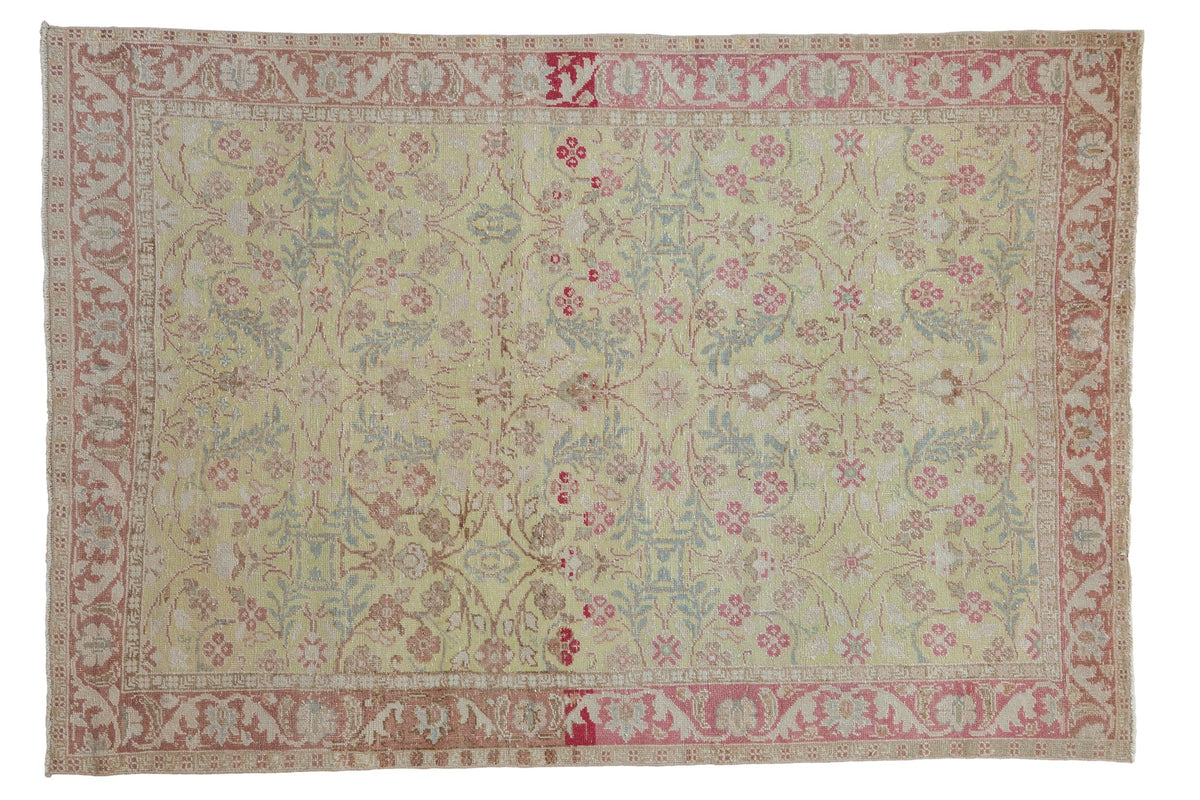 4.5x6.5 Vintage Distressed Sparta Rug by Old New House® - main product image for Resin Society