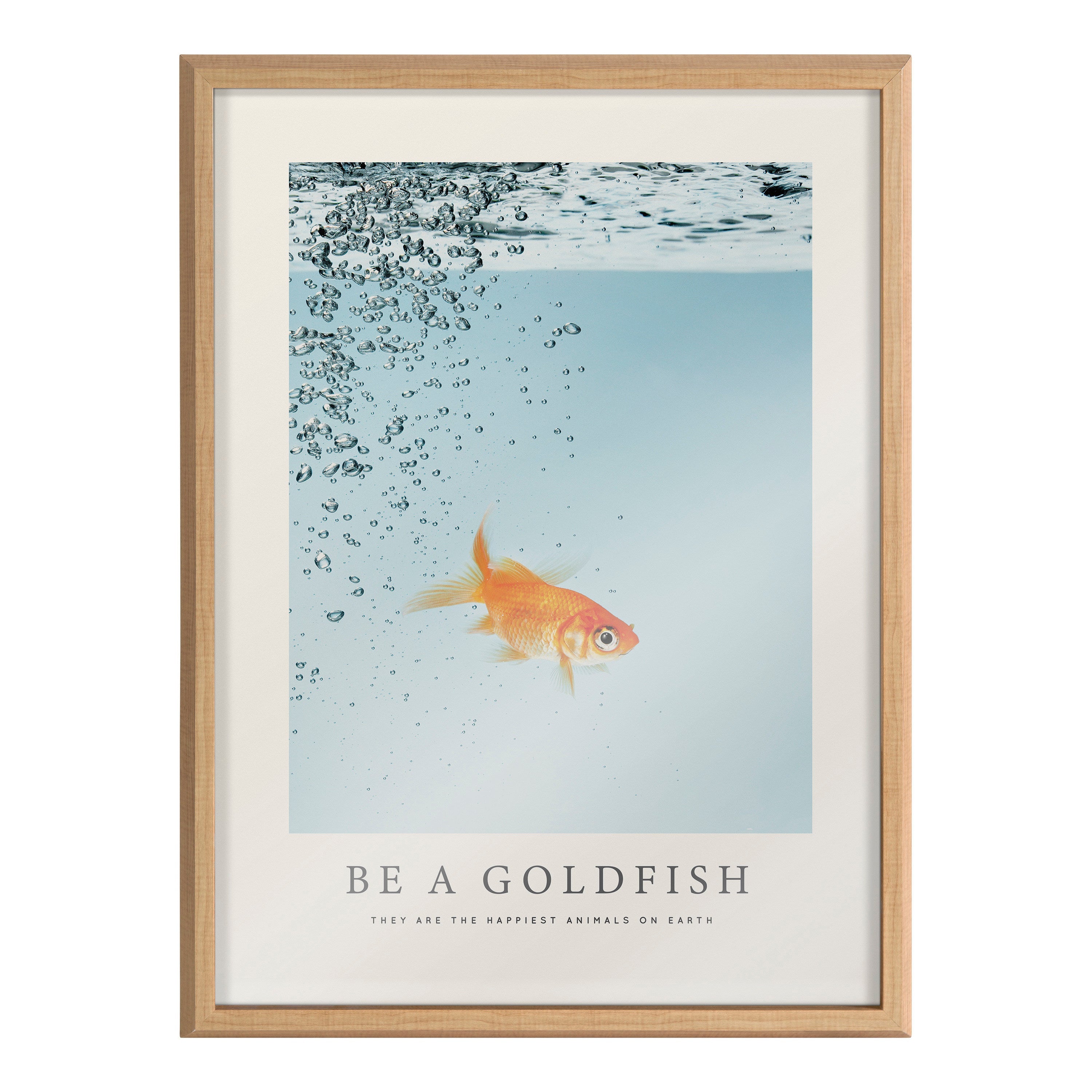 Blake Be A Goldfish Framed Printed Glass by The Creative Bunch Studio by kateandlaurel - product image 2 for Resin Society