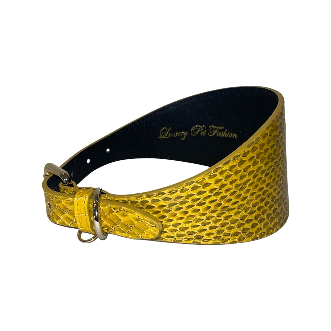 Curved mustard yellow snake-patterned pet collar with silver buckle and ring, lined in black with gold text inside.