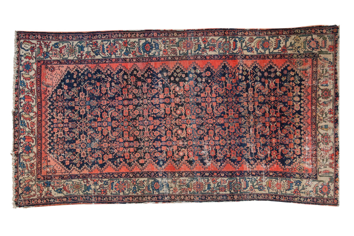 5.5x10 Vintage Malayer Carpet by Old New House® - main product image for Resin Society