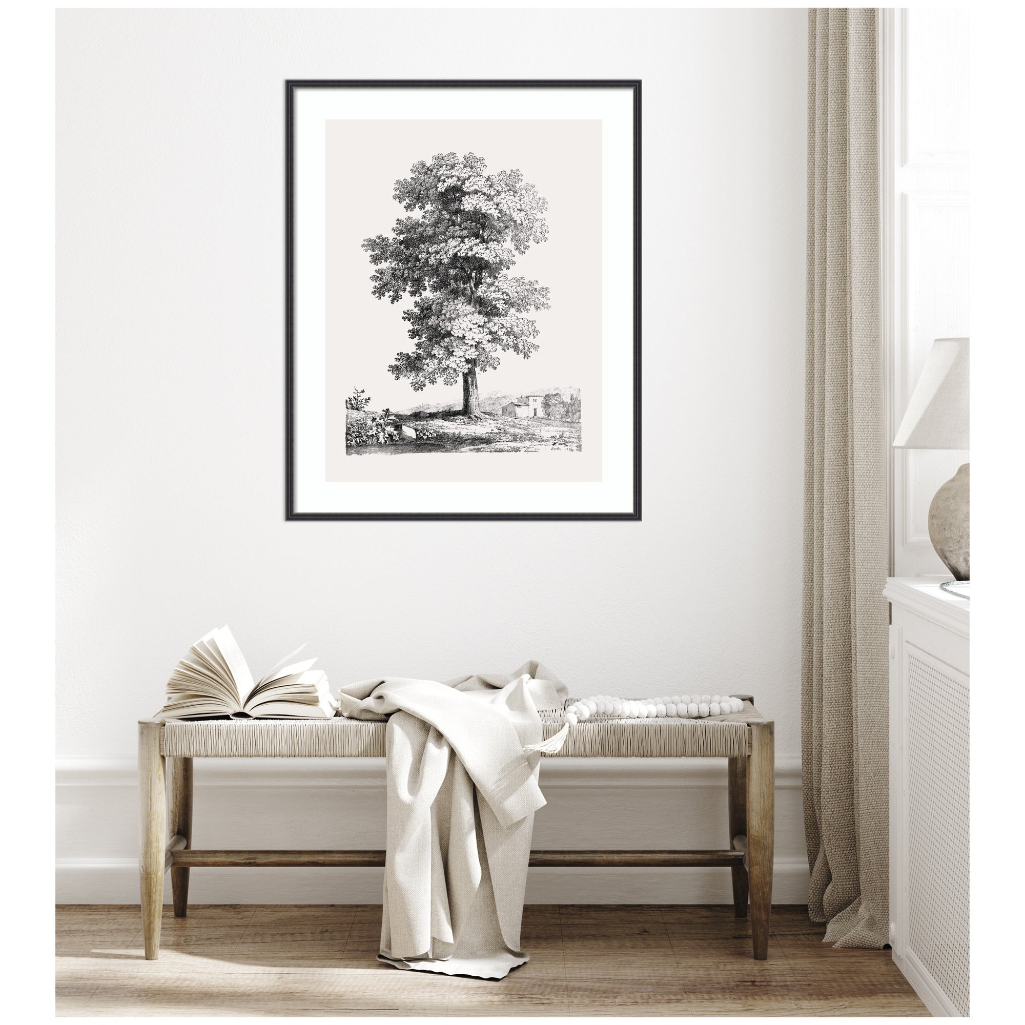 Framed Art Jean Victor Bertin Study of a Tree 1816