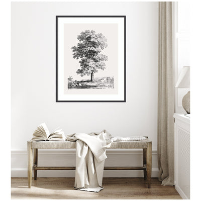 Framed Art Jean Victor Bertin Study of a Tree 1816